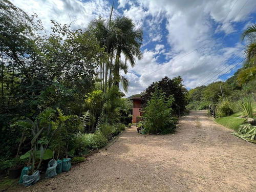 Imagem 26 de 30 de Chácara 2048m2, Casa Sede, Loja, Depósito, Viveiro De Plantas Com Estufa, Acesso Asfaltado, Poço Caipira, Ótima Localização - Ch00256 - 70814196