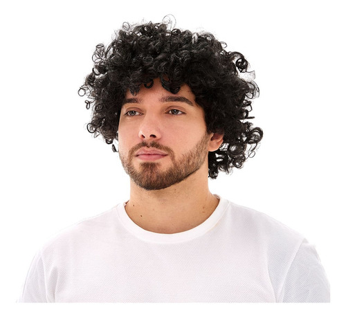 Badulake Peruca Black Power Cabelo Sintético Anos 60 70 80 Hippie Cor Preta