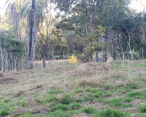 Imagem 24 de 30 de Sitio No Condominio Vale Do Ipe Amarelo Em Esmeraldas - St00153 - 70037859