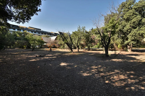 Inmobiliaria / Camino San Francisco De Asis / Cantagallo