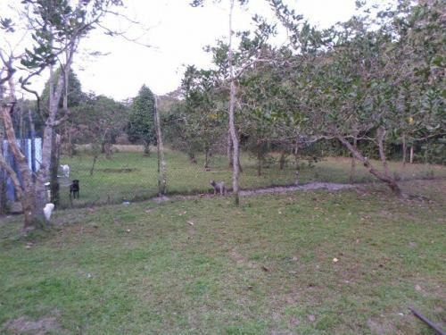 Chácara Com Piscina E 6 Canis, Em Itanhaém