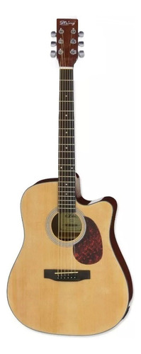 Guitarra Marca String Acustica Jumbo Importada Picks