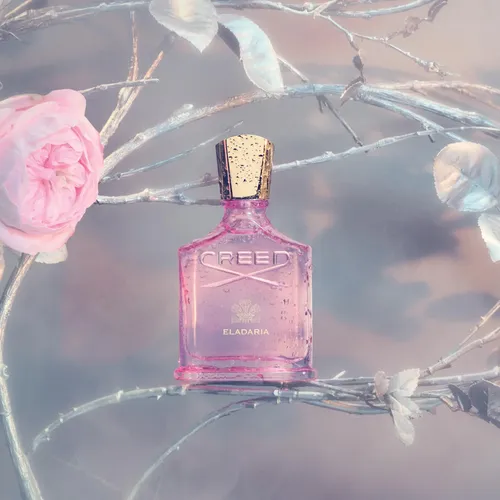 Perfume Feminino De Luxo Creed Eladaria 75ml Floral | Parcelamento