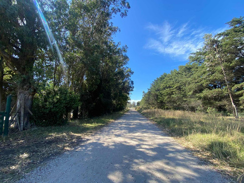 Imagen 13 de 14 de Latorre Prop. Vende Una Hectarea En La Zona De Parque Camet