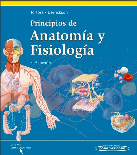 Principios De Anatomía Y Fisiología Tortora 13 Ed