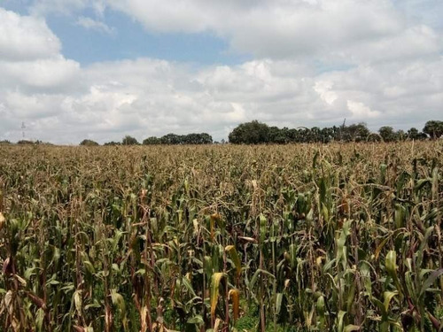 Imagen 10 de 10 de Se Vende Terreno En Calimaya, Estado De México