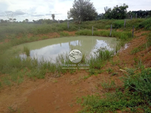 Imagem 12 de 14 de Venda Sítio Machadinho D'oeste Em Rondônia - Sia247