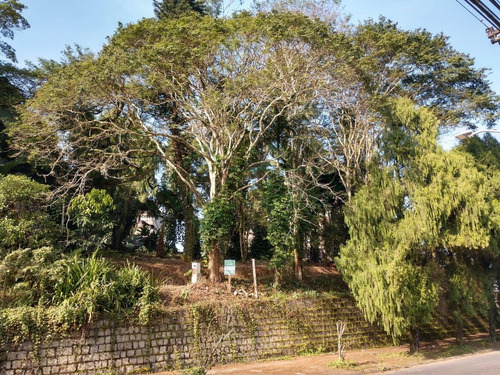 Imagem 5 de 14 de Mini Chácara No Bairro Glória|estuda Permuta| 4.328 M² - Sa00773 - 34103277