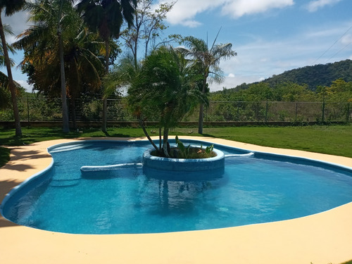 Imagen 6 de 6 de Alquileres Tucacas Morrocoy De Casas Y Apartamentos