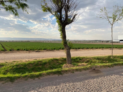 Imagen 1 de 9 de 25-31 Hectáreas En Venta Rancho Medio Kilo
