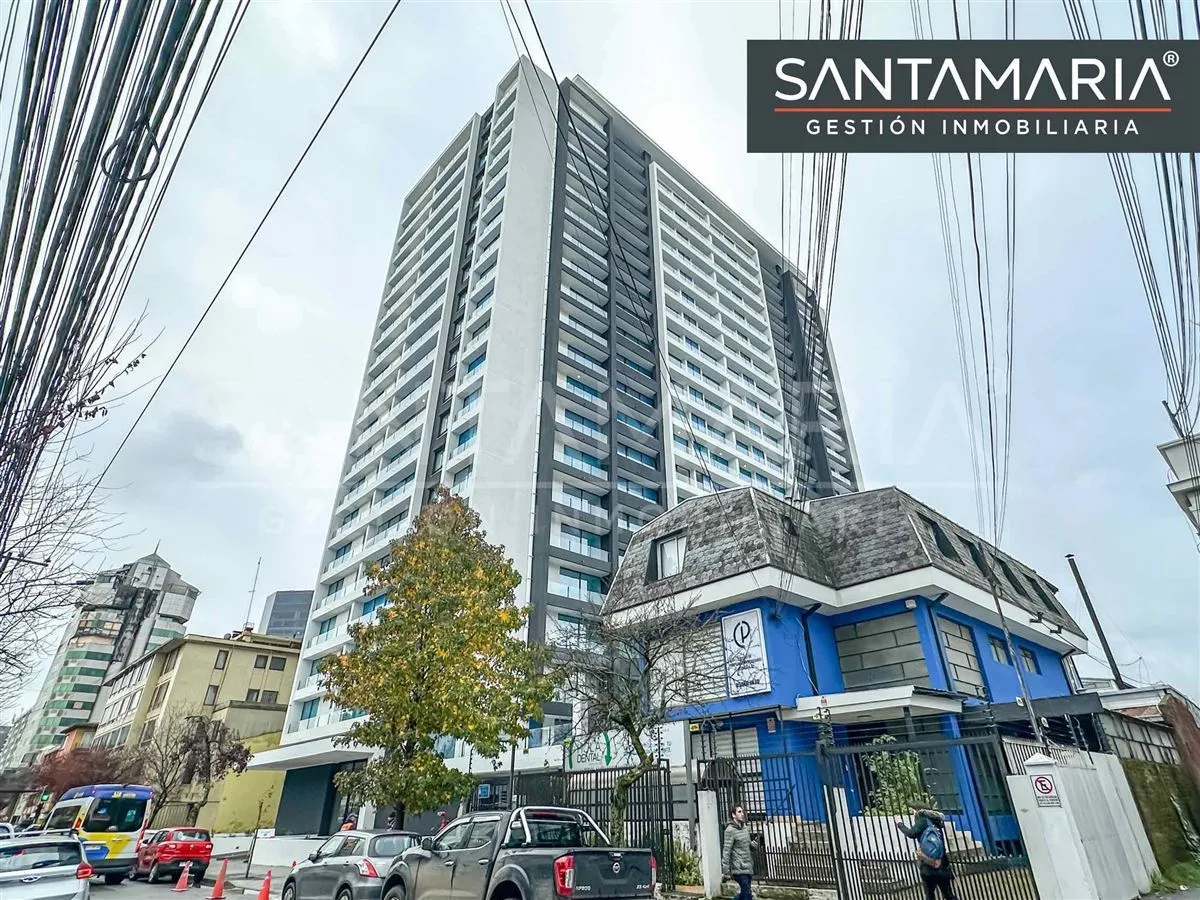 Imagen 2 de 12 de Arriendo Dpto. 1 Dorm. Cerca De Udec En Tucapel, Concepción