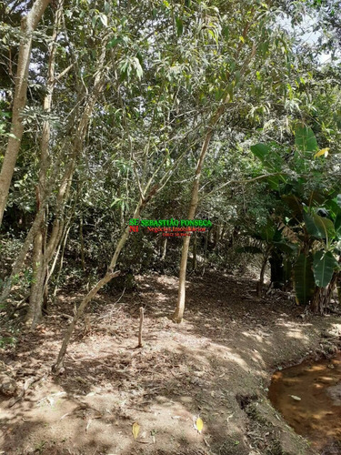 Imagem 13 de 15 de Chácara 6 Mil M² Em Cachoeira De Minas - Mg - 1999