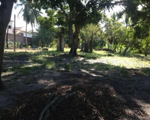 Imagem 18 de 22 de Terreno - Pk399 - 32011838