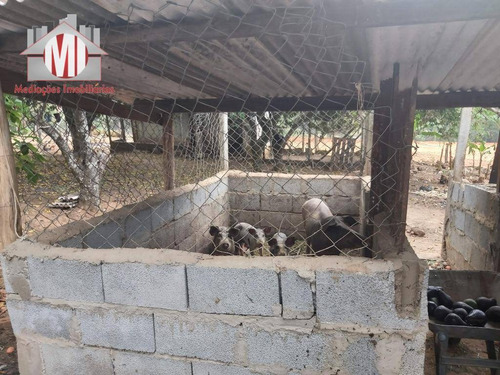 Imagem 29 de 30 de Linda Chácara, Casa De Caseiro, 5 Dormitórios, Piscina, Pomar, Pomar, Salão De Jogos, À Venda, 12200 M² Por R$ 850.000 - Zona Rural - Pinhalzinho/sp - Ch0768