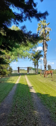 Permuto Chacra, 6 Has Parquizadasx Casa O Dpto En Pinamar , Antiguamente Siendo Un Haras, Se Fue Transformando En Casa Principal , Km 305 De La Ruta Nacional N*5 Carlos Casares-ba