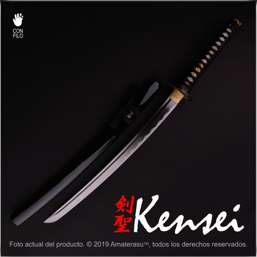 Imagen 2 de 10 de Katana Wakizashi Kensei Takeo Templado Al Aceite Full Tang