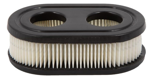 2 Filtros Aire Para Podadora Brigss Crafstman