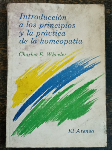 Introduccion A Los Principios Y La Practica De La Homeopat 
