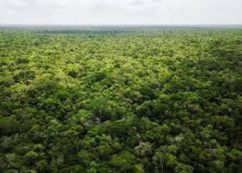 Imagen 2 de 8 de Terreno En Venta En Tulum