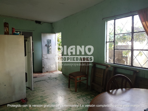 Imagen 8 de 11 de Oportunidad - Chacra Completa - Campo Minas