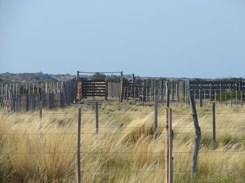 Inmobiliaria Comodoro - Peninsula Valdés - Refugio De Vida Silvestre - Permutas