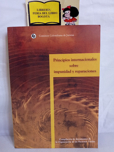 Principios Sobre Impunidad Y Reparaciones - Onu