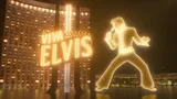 Viva Elvis