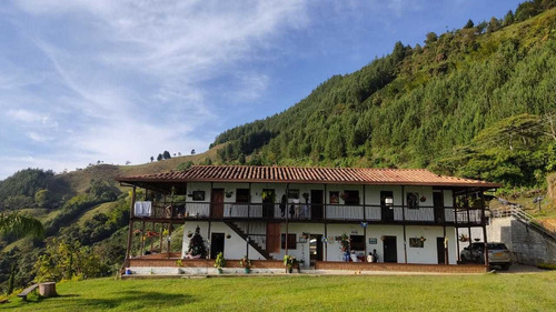 Imagen 15 de 22 de Finca Cafetera En Venta En Abejorral