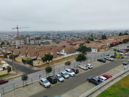 Arrienda Este Lindo Departamento (24741)