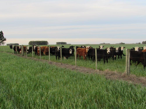 Imagen 10 de 11 de Florida, Exepcional Estancia Agricola Con Represas