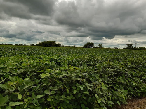 Imagen 19 de 30 de Campo En Córdoba (general Deheza)