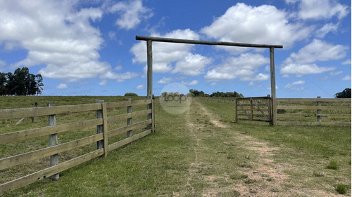 Chacra De 18 Hectáreas En José Ignacio, Una Joya En Uruguay