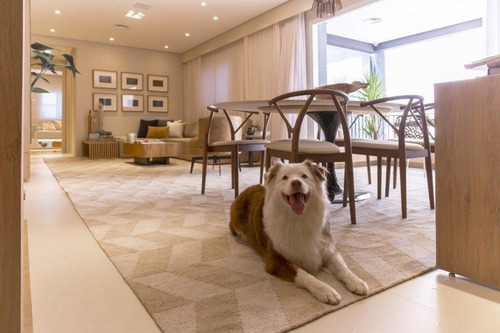 Imagem 7 de 28 de Apartamento Residencial Para Venda, Jardim Caboré, São Paulo - Ap4978. - Ap4978-inc