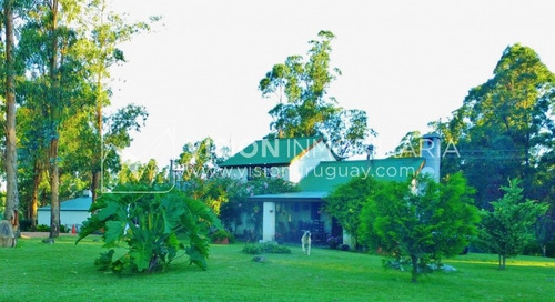 Imagen 1 de 30 de Chacra De 15 Hás Con El Confort De Hermosa Casa Reciclada, Barbacoa Y Piscina Climatizada.