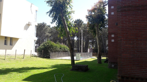 Imagen 27 de 30 de Pinamar Alquiler Promo Imbatible Semana Santa $ 15.900 Para 4 Personas Ambientes 3 Pileta Parrilla Estacionamiento