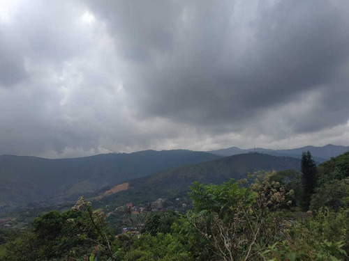 Imagen 13 de 14 de Venta De Finca En Montebello, Oeste De Cali 378.