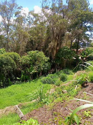 Imagen 14 de 16 de Best House Vende Terreno En San Antonio De Los Altos, Vía Al Faro.