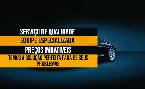 Remover Códigos Dtc Avarias Falhas Modulo Injeção -(remoto)