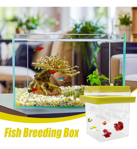 Caja De Aislamiento De Peces Para Acuario Caja De Cría De Pe