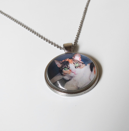 Collares Personalizados Con La Foto Que Más Te Guste