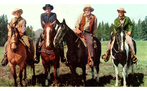 Bonanza - Serie 14 Temporadas Valor C/u - Producto Digital