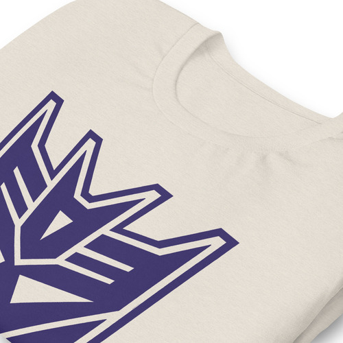 Playera Movie Transformers - Decepticon Es0705