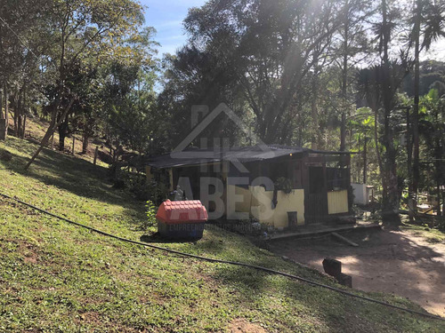 Imagem 6 de 7 de Chacara - Ch00045 - 69932078