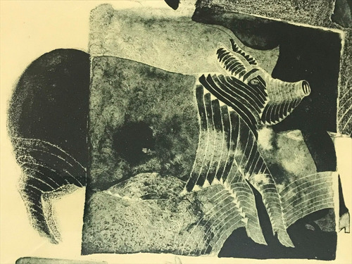 Litografìa Francisco Toledo Enmarcada Arte Oaxaqueño (Usado)