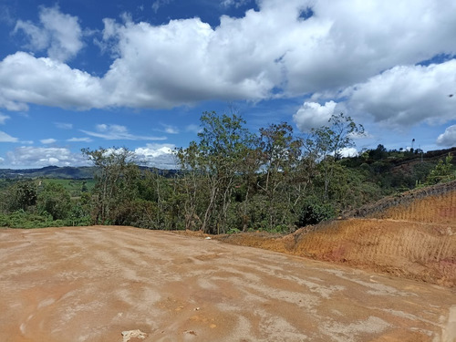 Lote En Venta San Vicente Vereda Ovejas 150 Millones Aru