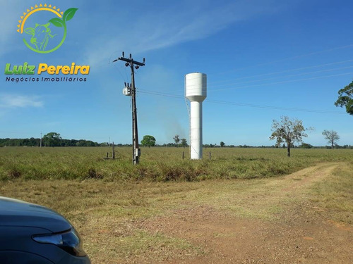 Imagem 5 de 15 de Fazenda À Venda No Vale Do Araguaia - To- De 2.594 Hectares (dupla Aptidão) - 1739