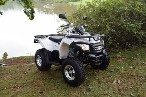 Quadriciclo 200cc 4x2 Câmbio Cvt Automático Buggy&cia
