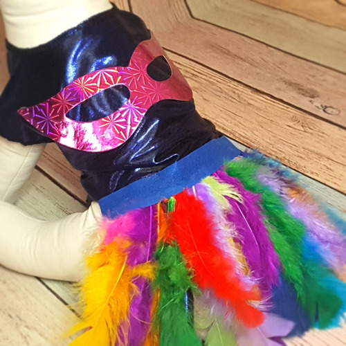 Roupa Pet - Vestido Carnaval Tam 4 - Roupinha Cachorro