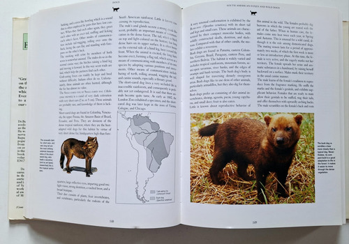 Grimek's Enciclopedia Mammals Volumen 4 Libro En Ingles (Reacondicionado)