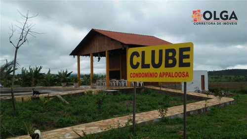 Terreno À Venda, 532 M² Por R$ 85.000 - Gravatá/pe - Te0198